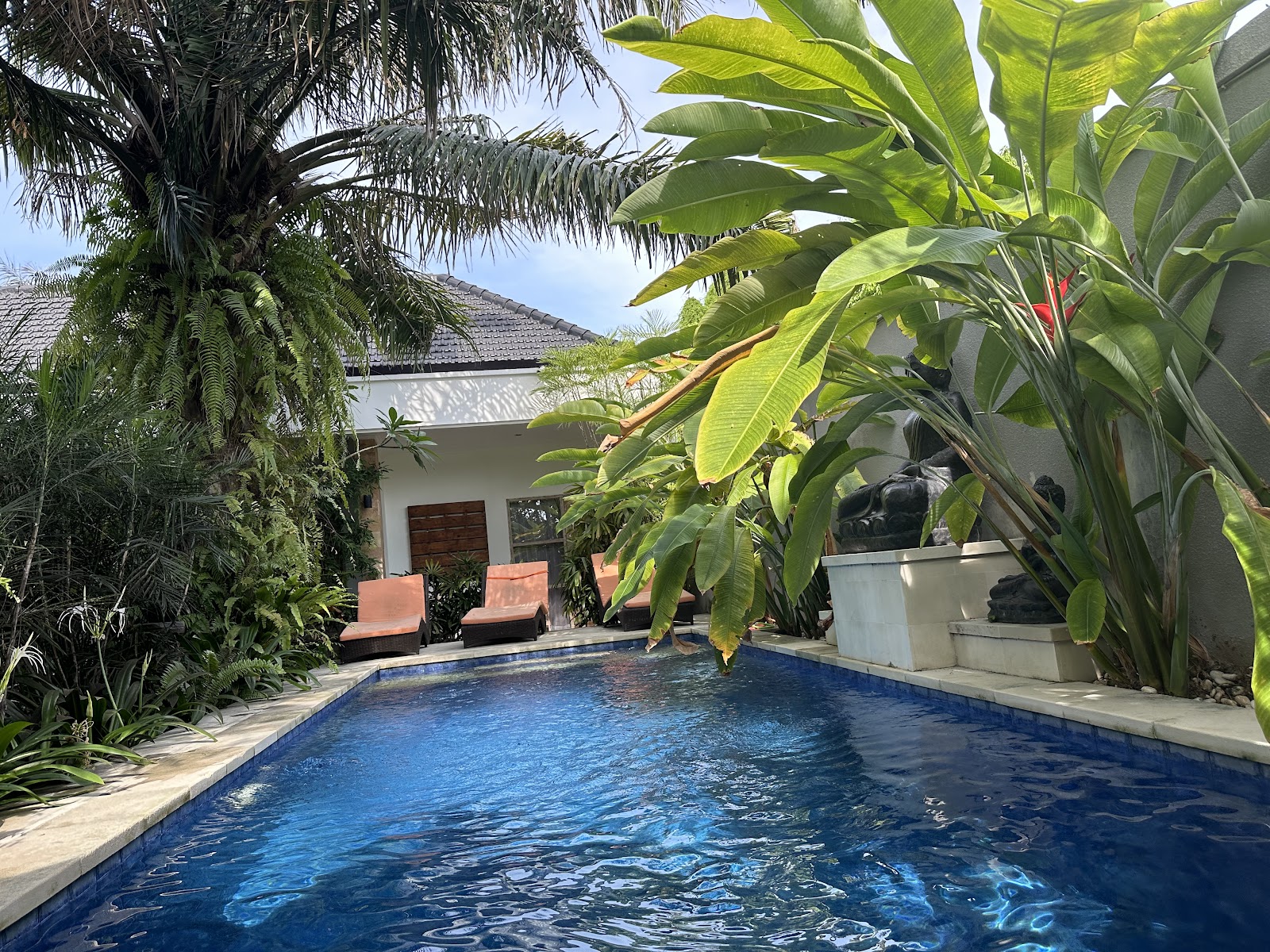 A serene swimming pool surrounded by lush tropical vegetation, including banana plants and palm trees. Two orange lounge chairs are visible on the left side. A white bungalow with dark wooden doors is positioned in the background under a tiled roof. The pool features beautiful blue water with rippling reflections.