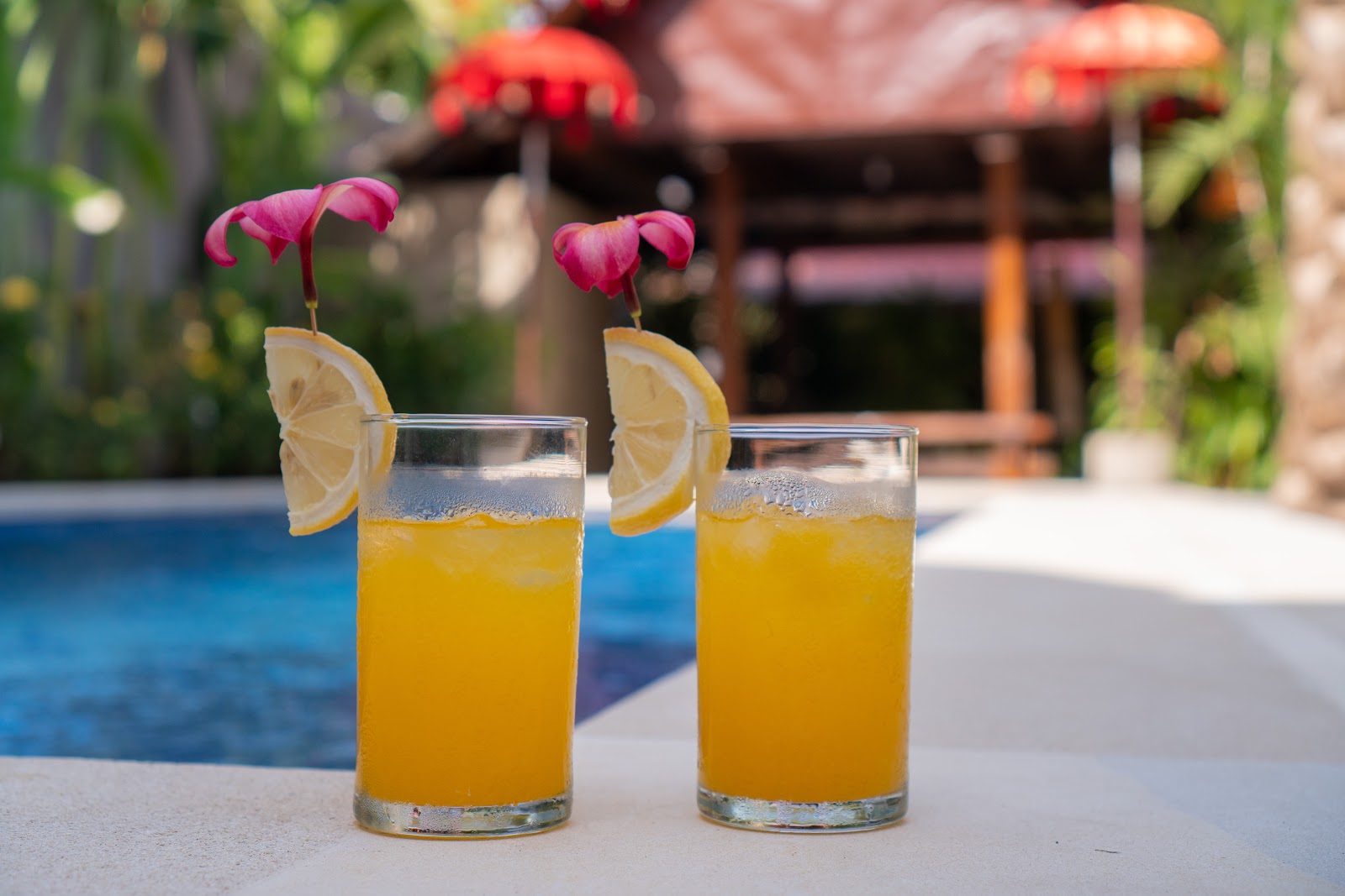 Two refreshing tropical drinks with lemon slices and pink flowers served poolside, with a blurred villa and blue swimming pool in the background, creating an inviting vacation atmosphere